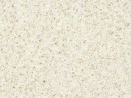 GAM-004 SANDFLOWER